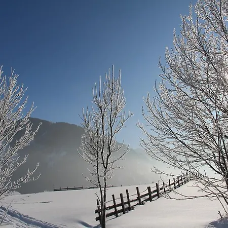 Hotel Hotel-pension Das Platzl