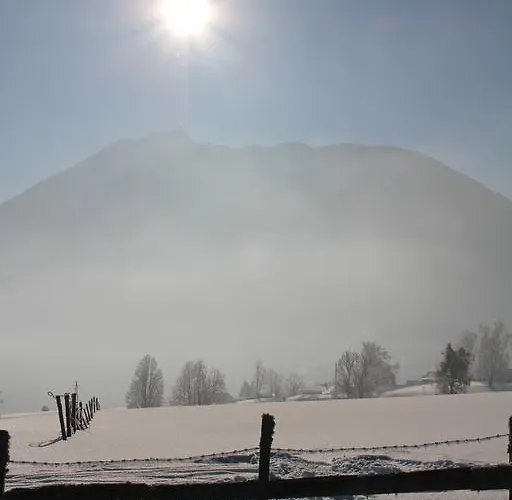 Hotel-pension Platzl 슈라드밍