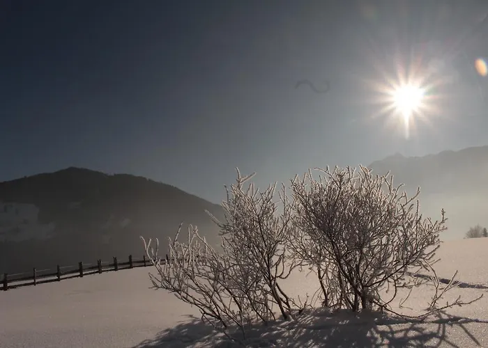 Hotel-pension Platzl Hotel 3*