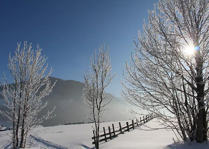 Hotel Hotel-pension Platzl