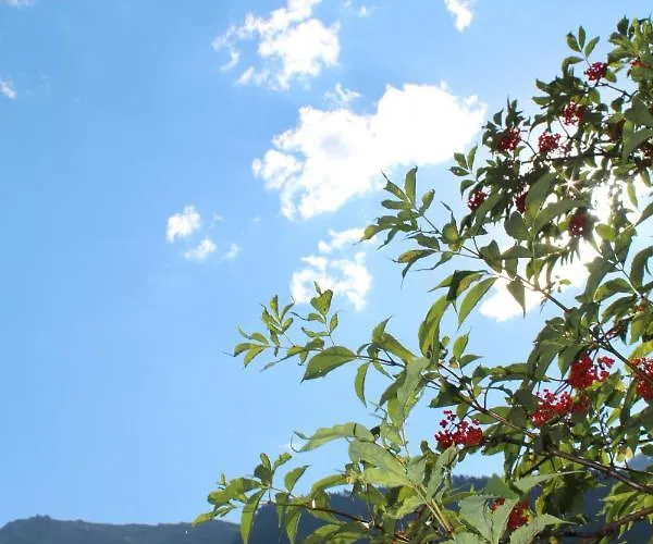 호텔 Hotel-pension Platzl 3*