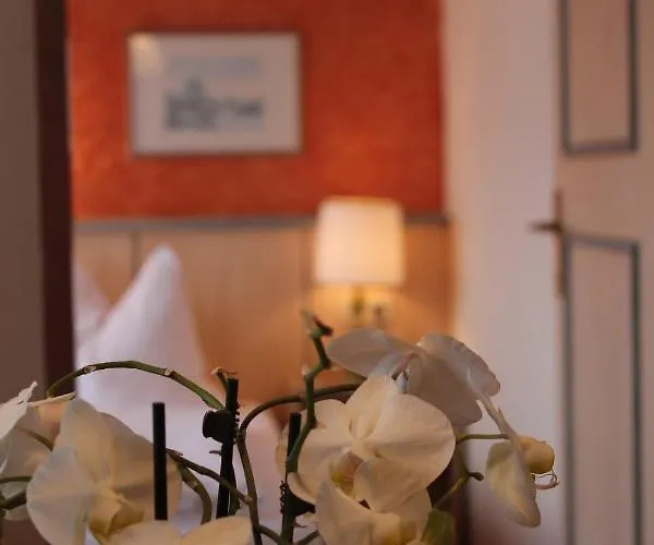 Hotel-pension Platzl 3*